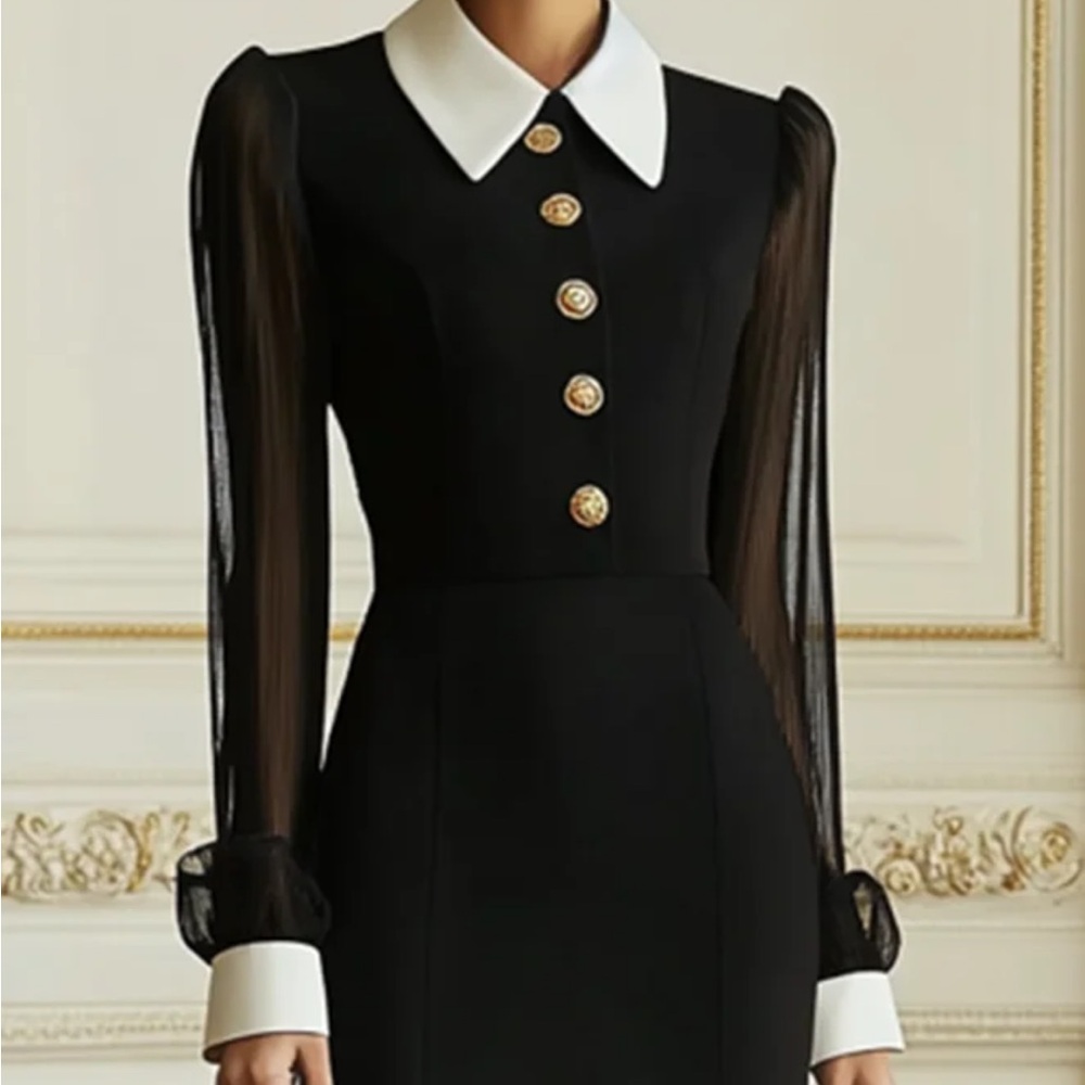 Chic Black Long Sleeve Dress with Sheer Accents - Picture 2 of 3